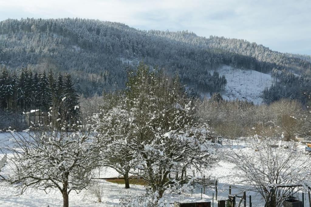 Chez Vovone 3 Etoiles Clevacances Saulxures-sur-Moselotte Extérieur photo