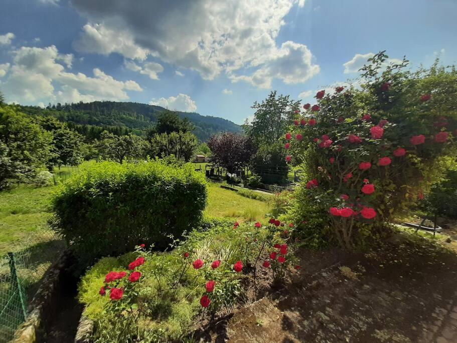 Chez Vovone 3 Etoiles Clevacances Saulxures-sur-Moselotte Extérieur photo