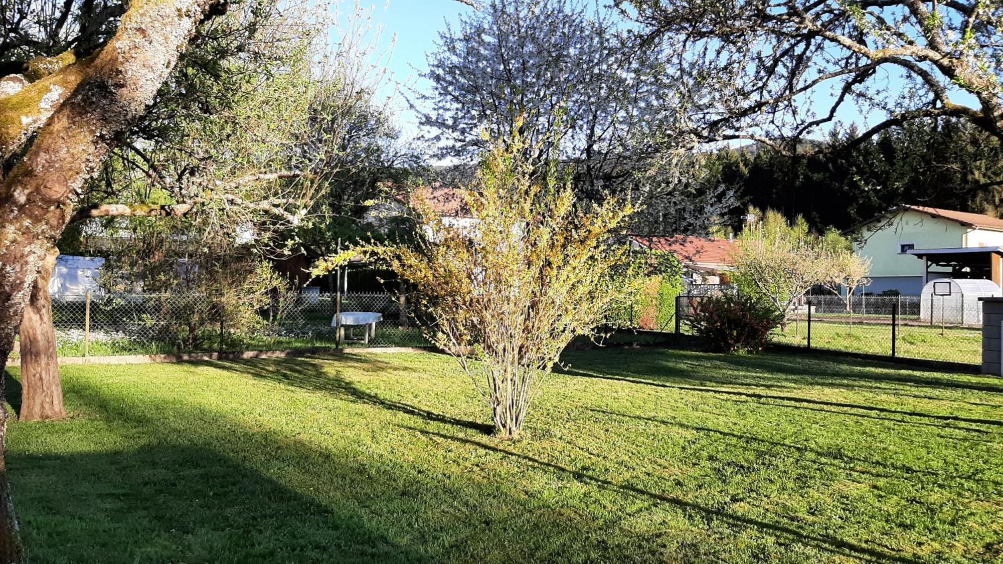 Chez Vovone 3 Etoiles Clevacances Saulxures-sur-Moselotte Extérieur photo